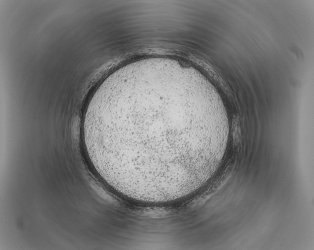 X0000112780445200909101615