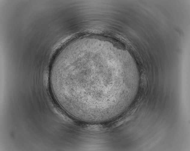 X0000112780446200909101616