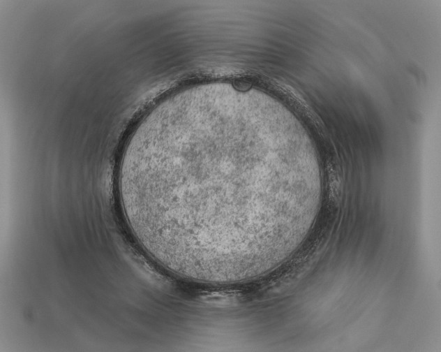 X0000112780447200909101616