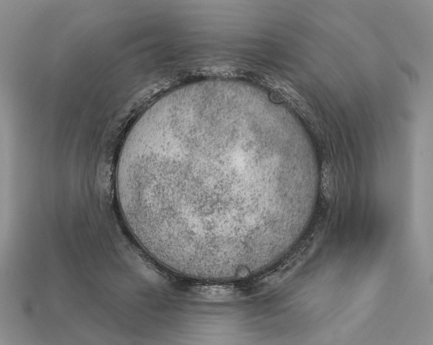 X0000112780449200909101616