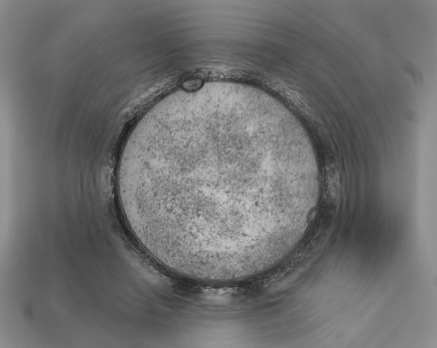 X0000112780450200909101616