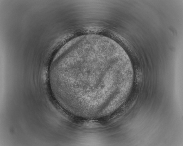 X0000112780451200909101616