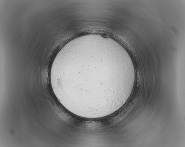 X0000112780453200909101616