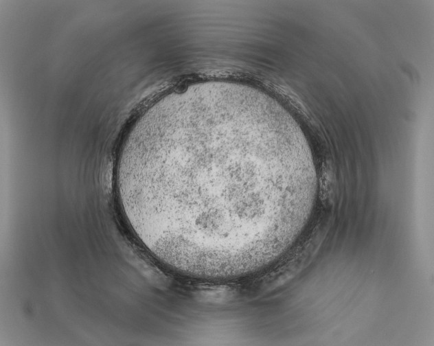 X0000112780454200909101616