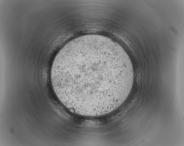 X0000112780455200909101616