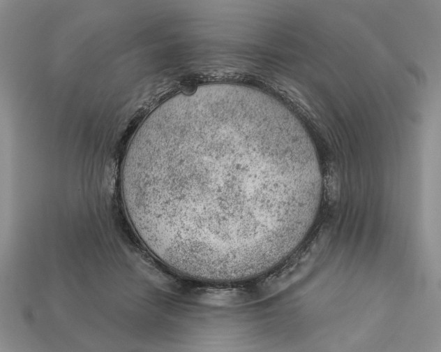 X0000112780458200909101616