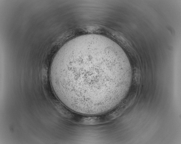 X0000112780461200909101616