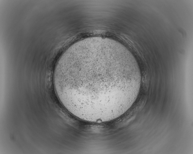 X0000112780462200909101616