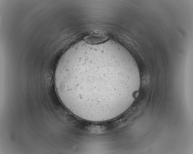 X0000112780464200909101616