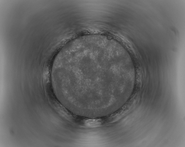 X0000112780465200909101616