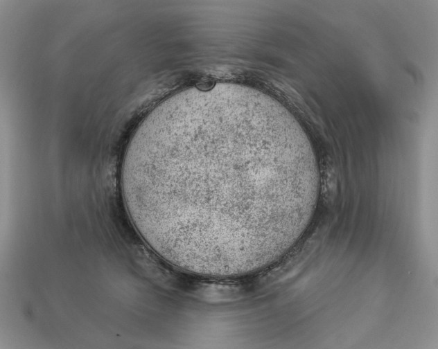 X0000112780466200909101616