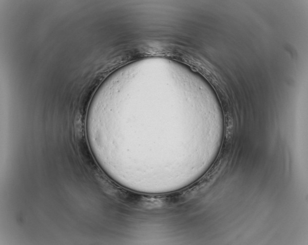 X0000112780469200909101616