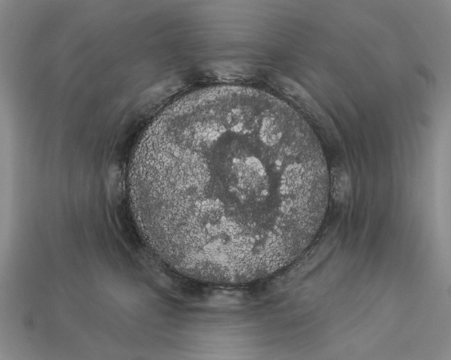 X0000112780471200909101616