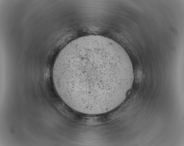 X0000112780472200909101616