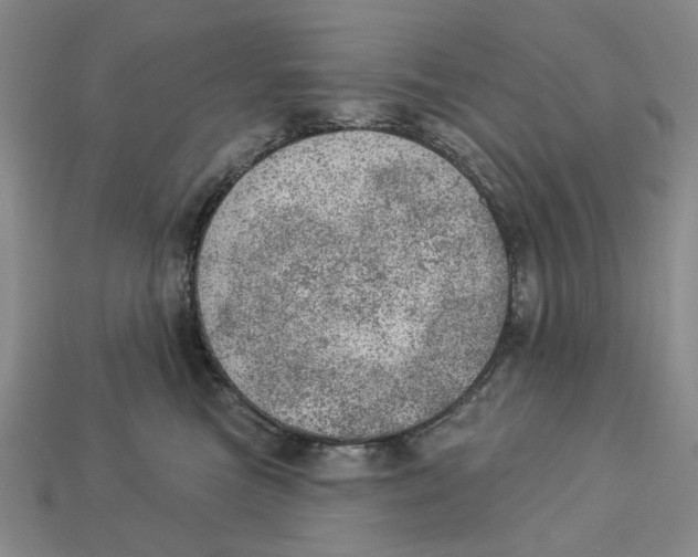 X0000112780473200909101616