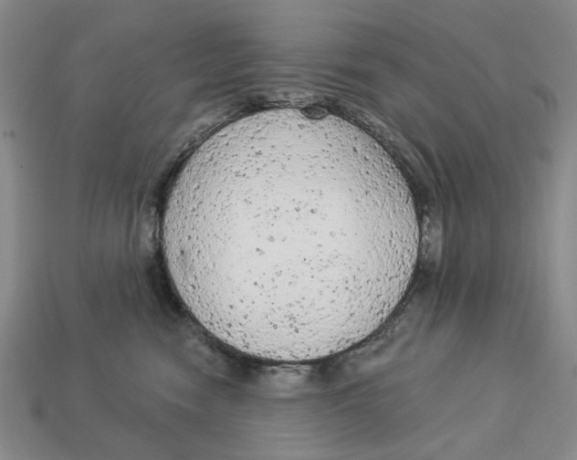 X0000112780474200909101616