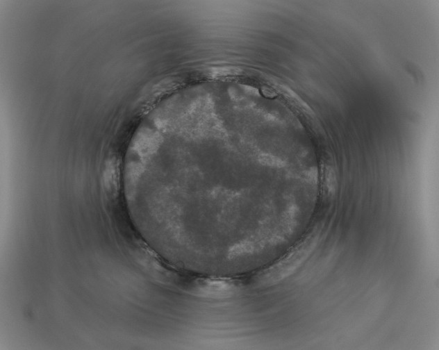 X0000112780475200909101616