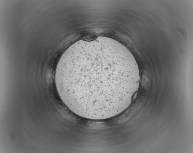 X0000112780476200909101616