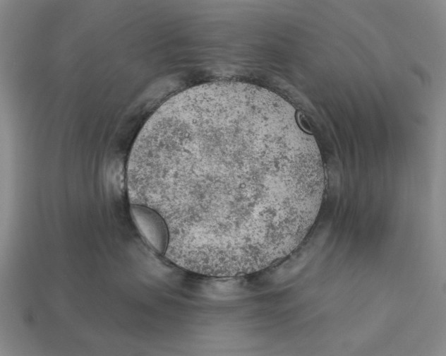 X0000112780479200909101616