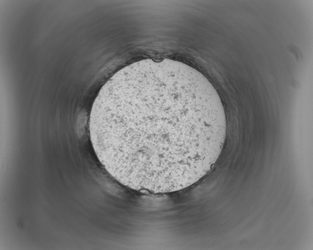 X0000112780480200909101616