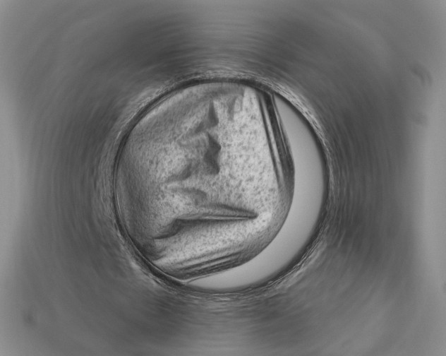 X0000112780481200909101615