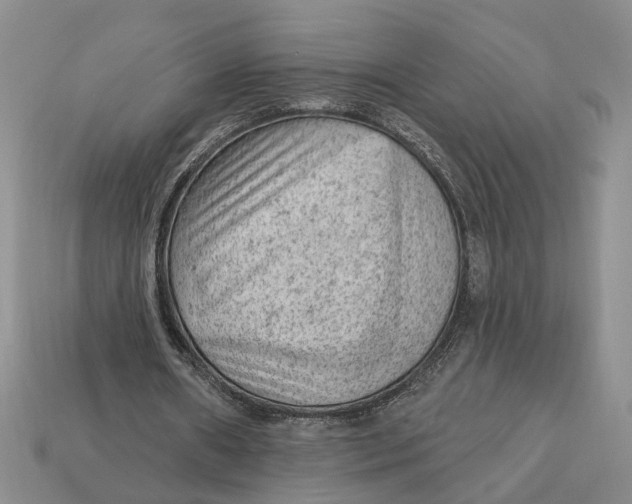 X0000112780482200909101615