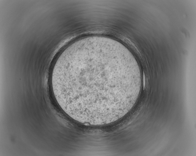 X0000112780483200909101615