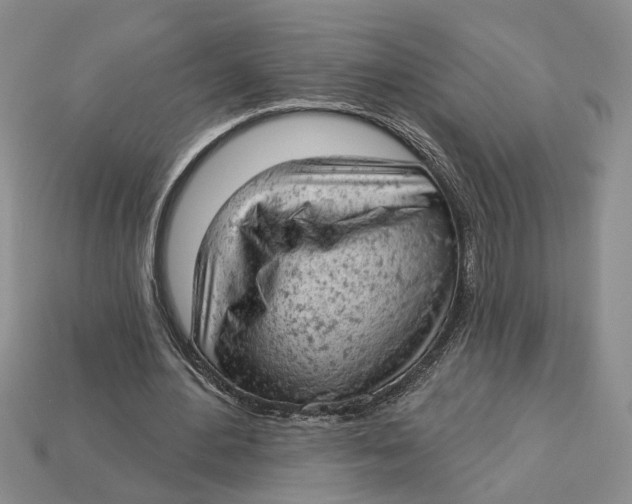 X0000112780484200909101615