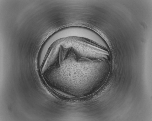 X0000112780485200909101615