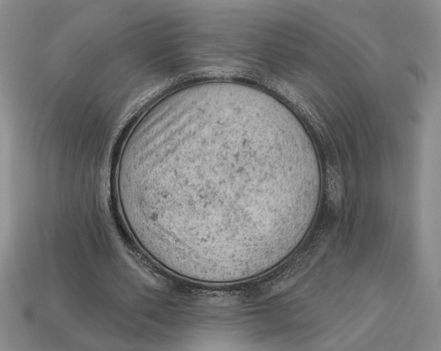 X0000112780486200909101615