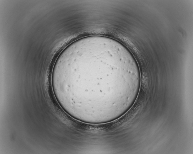 X0000112780487200909101615