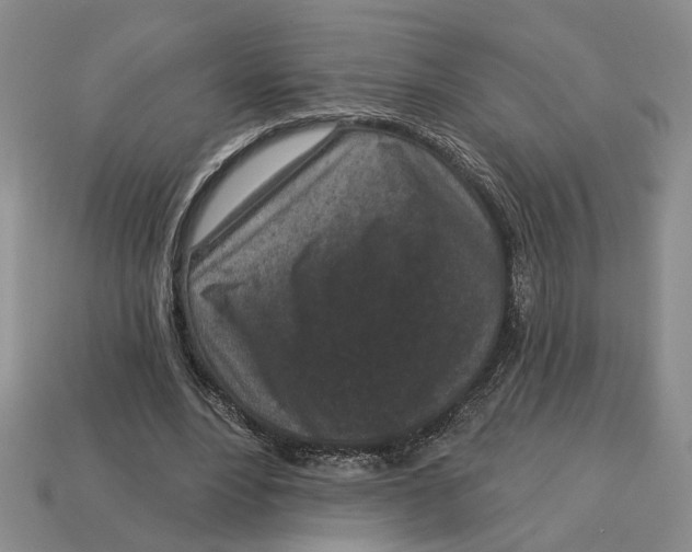 X0000112780488200909101615