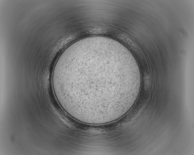 X0000112780490200909101615