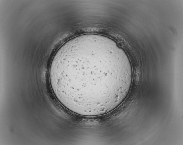 X0000112780491200909101615