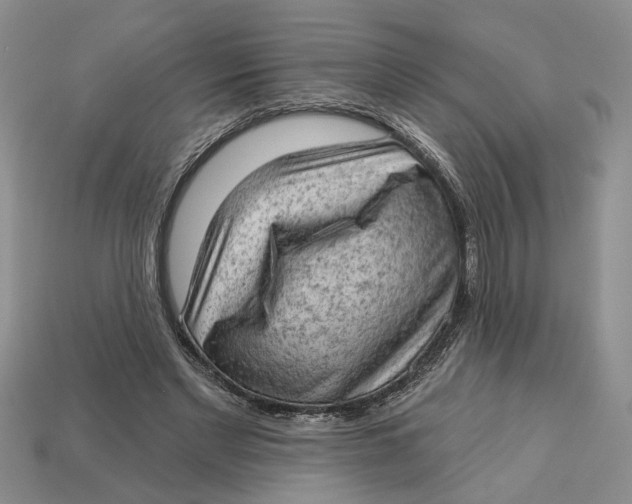 X0000112780493200909101615