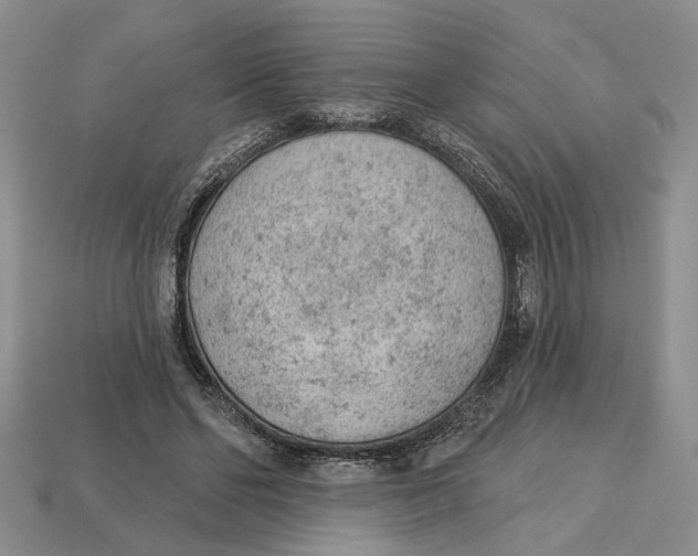 X0000112780494200909101615