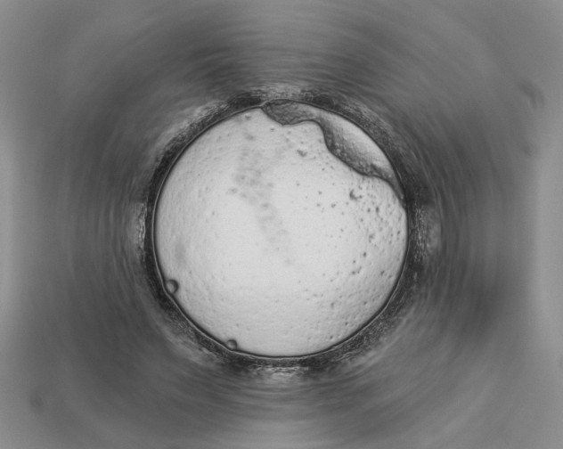 X0000112780495200909101615