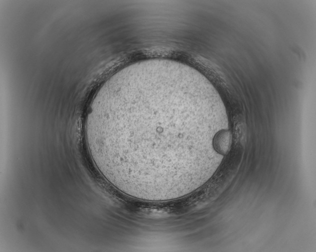 X0000112780498200909101615