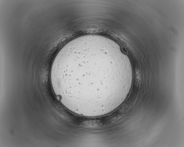 X0000112780499200909101615