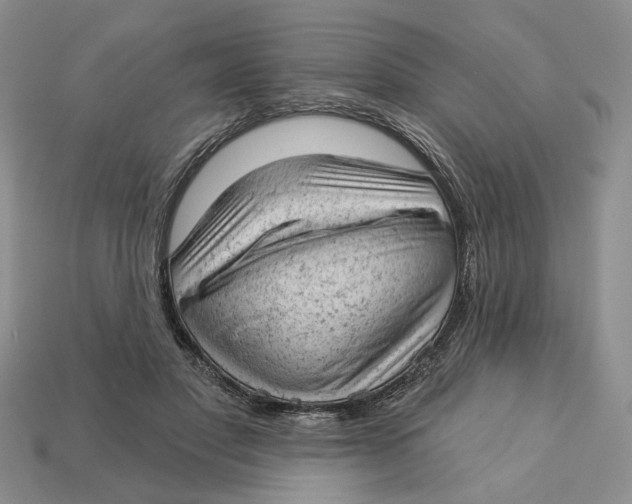 X0000112780501200909101615