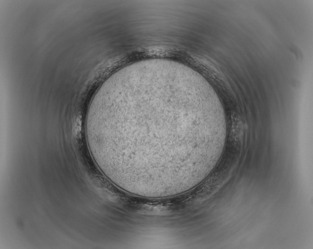 X0000112780502200909101615