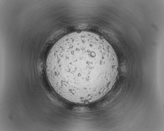 X0000112780503200909101615