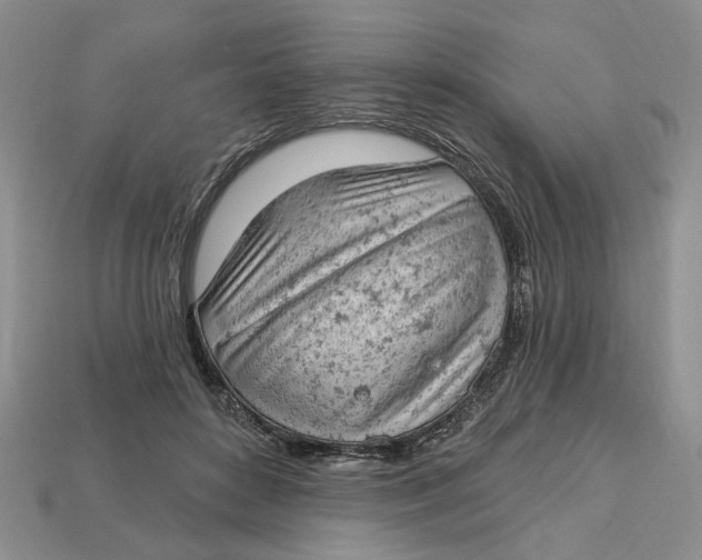 X0000112780504200909101615