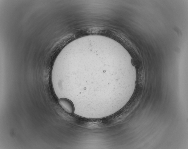 X0000112780505200909101615