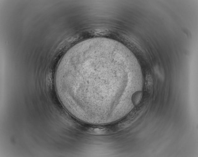 X0000112780506200909101615