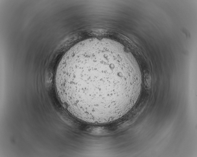 X0000112780507200909101615