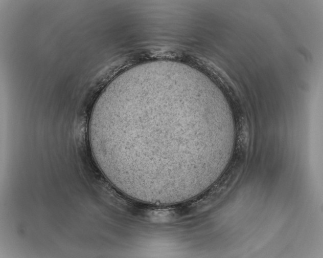 X0000112780513200909101615