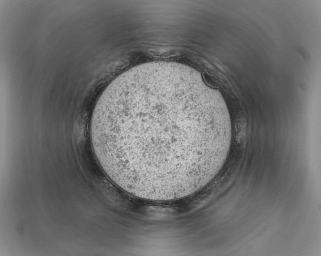 X0000112780515200909101615