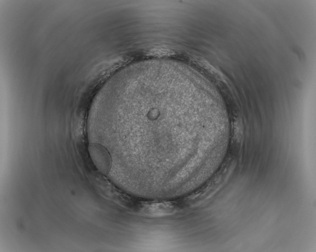 X0000112780517200909101615