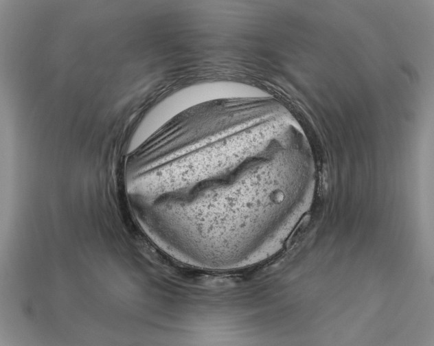 X0000112780520200909101615